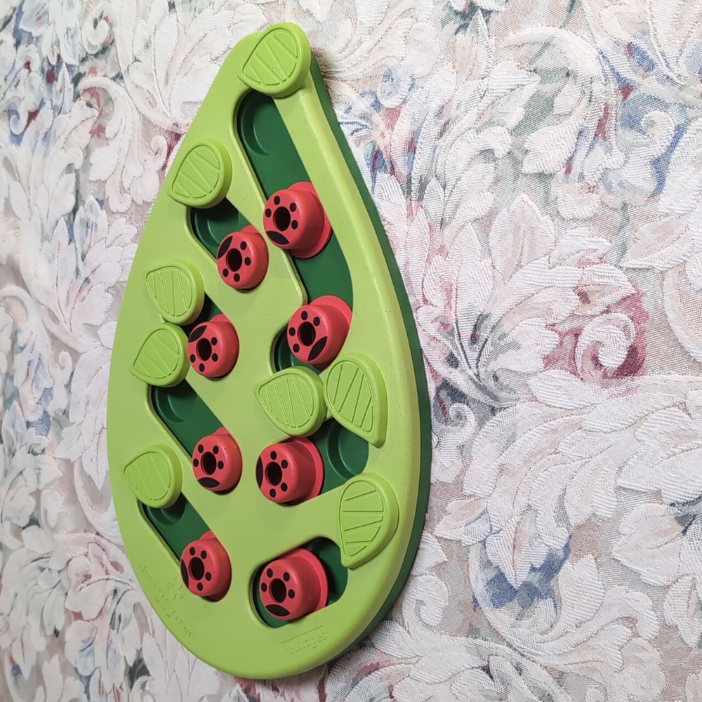 CatStages  Puzzle for Cats